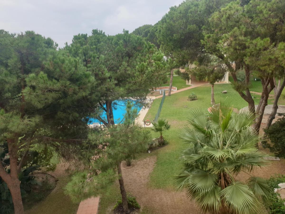 Precioso Estudio Con Piscina A 200M Del Mar Marbella Eksteriør billede